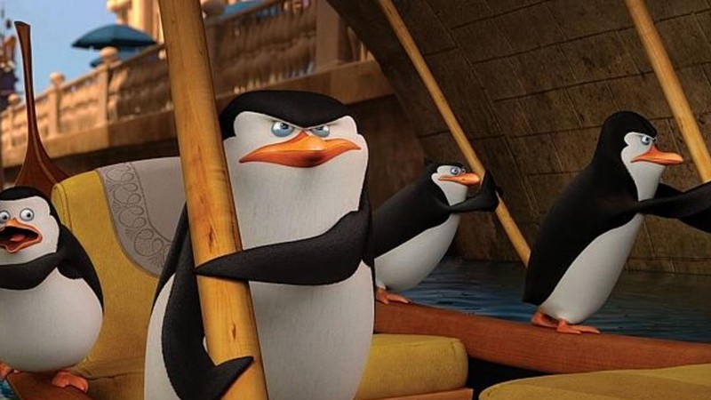 The Penguins of Madagascar: New to the Zoo