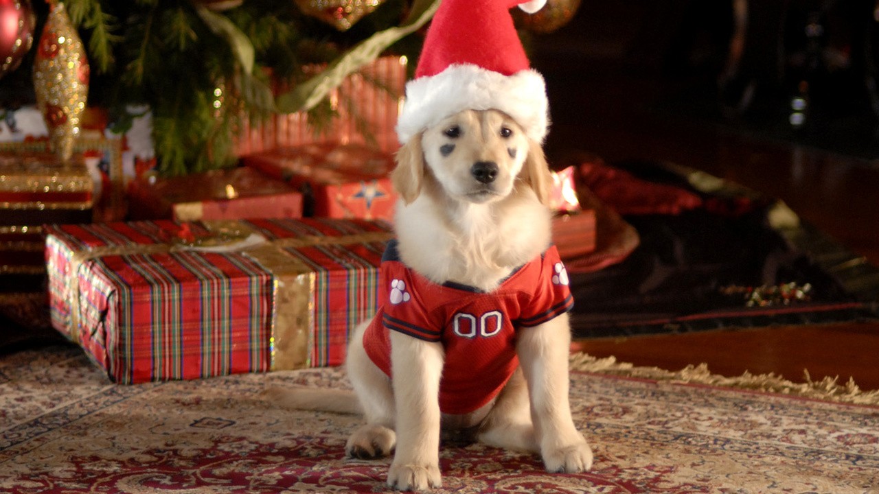 Santa Buddies
