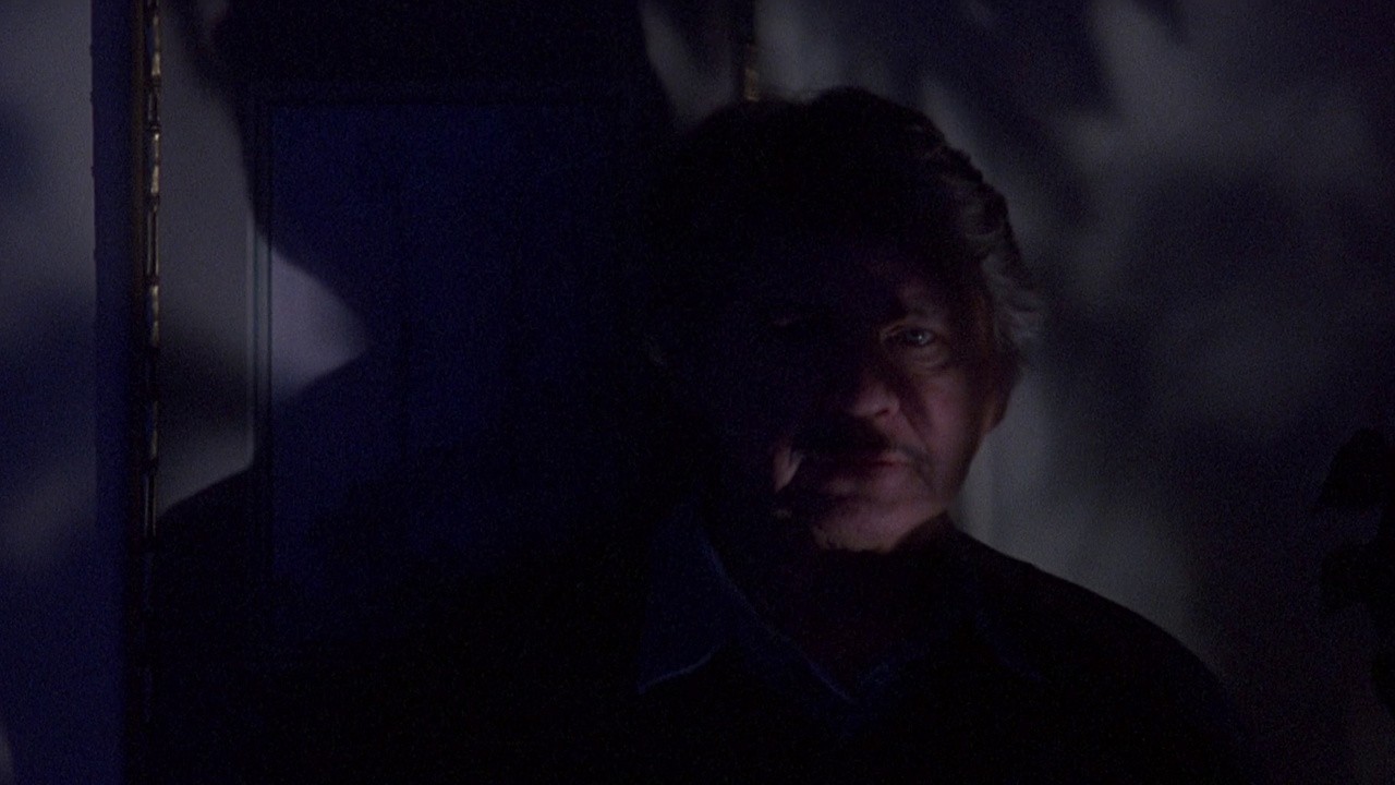 Death Wish V: The Face of Death