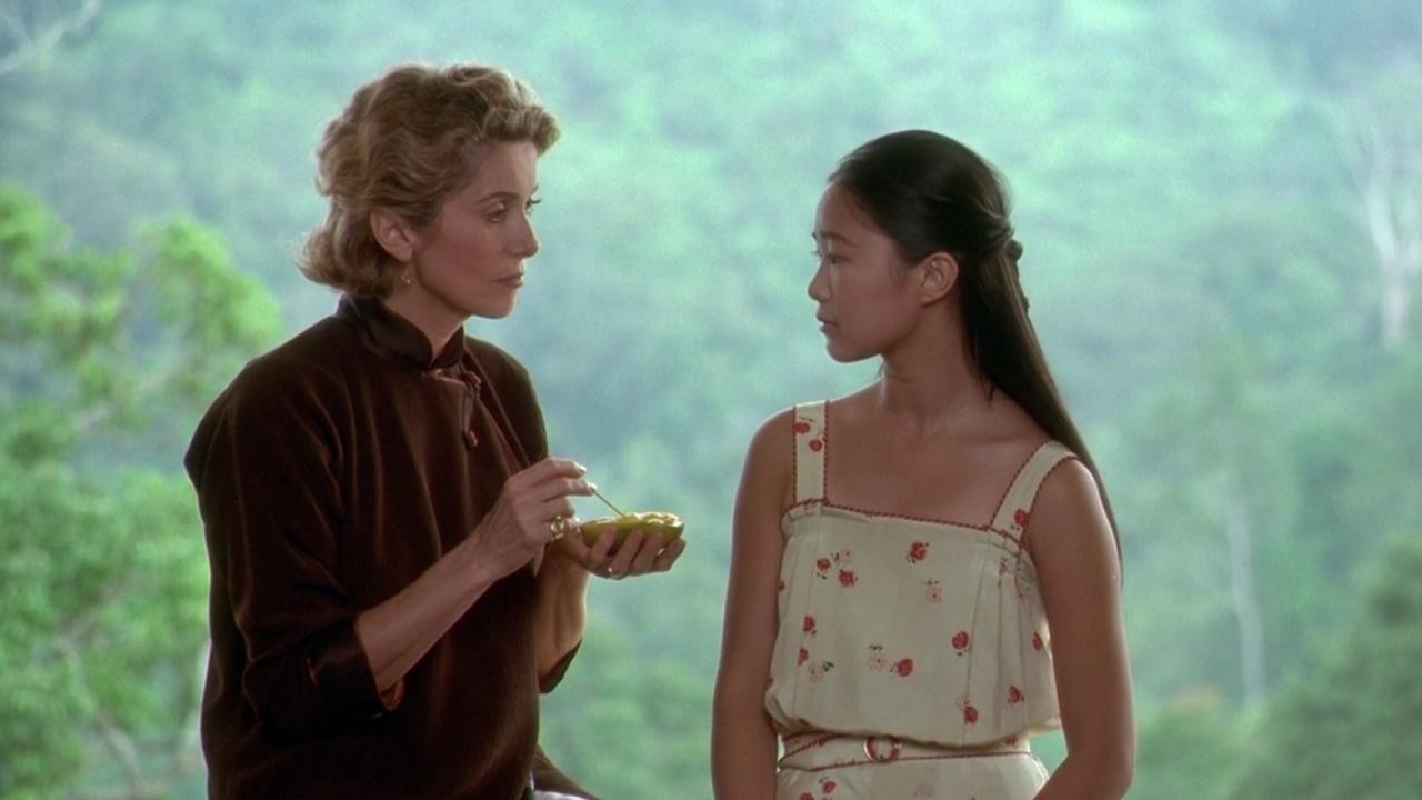 Image du film Indochine