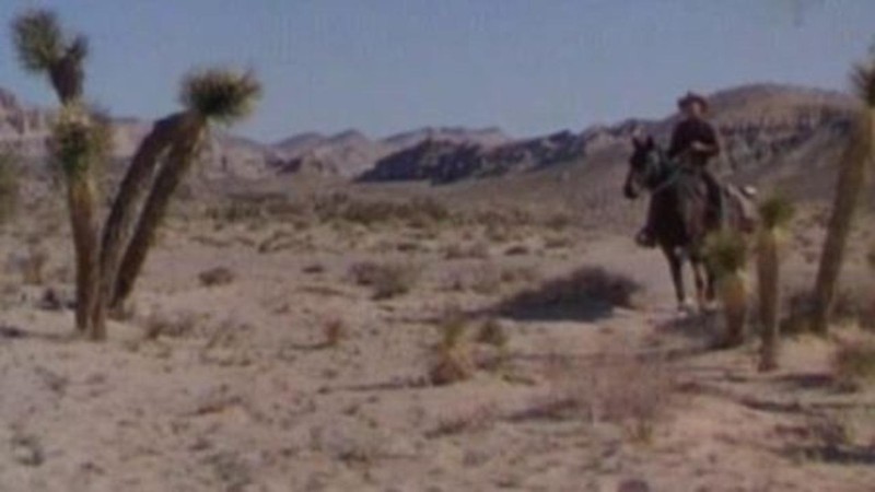 Tumbleweed (1953) | MUBI