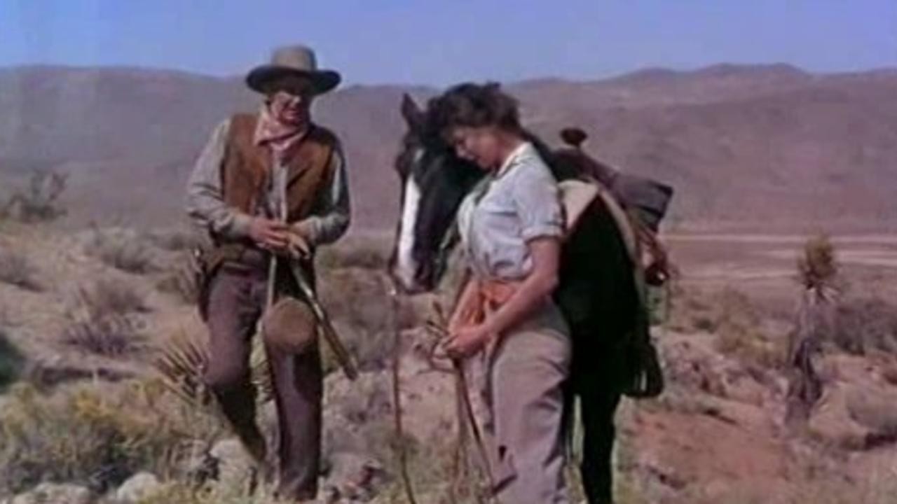 Four Guns to the Border