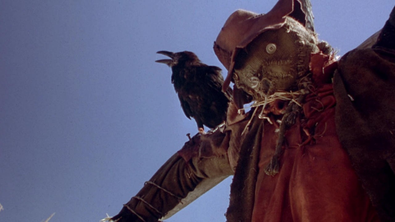 Night of the Scarecrow