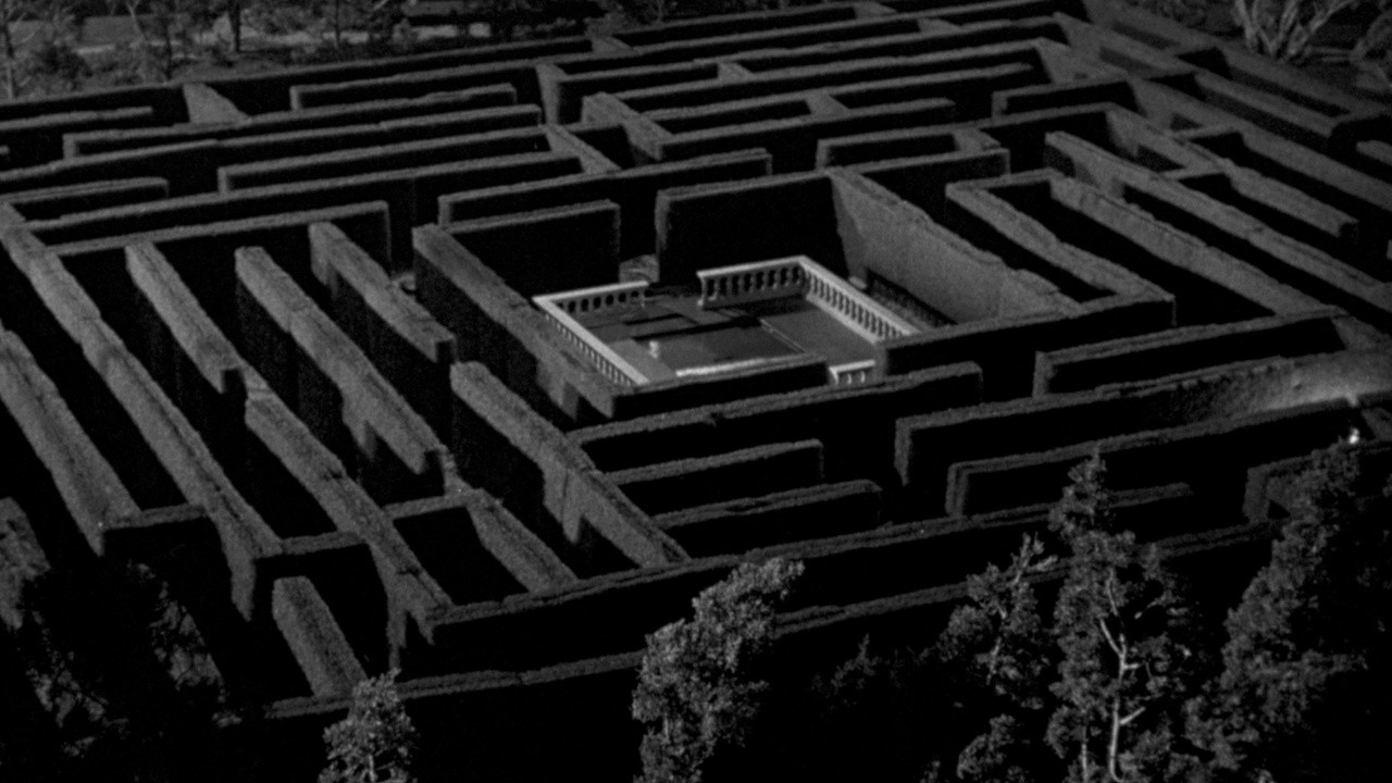 The Maze