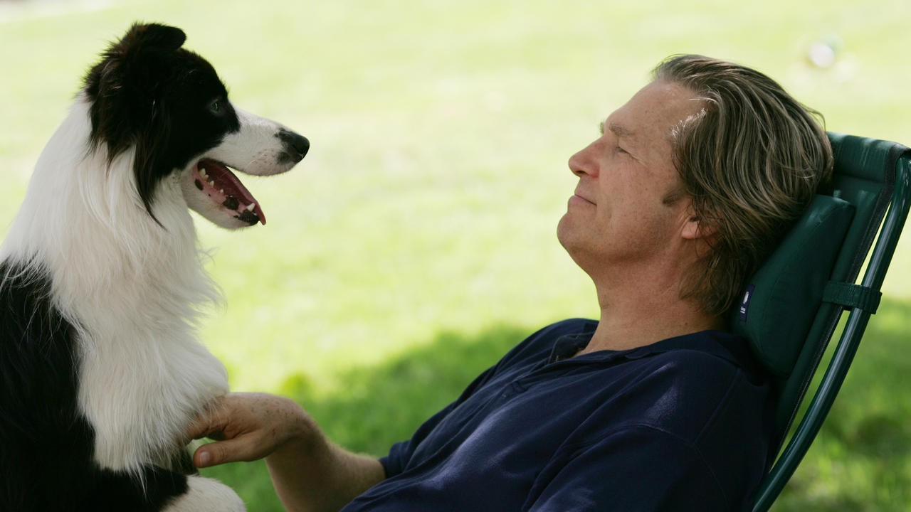 A Dog Year