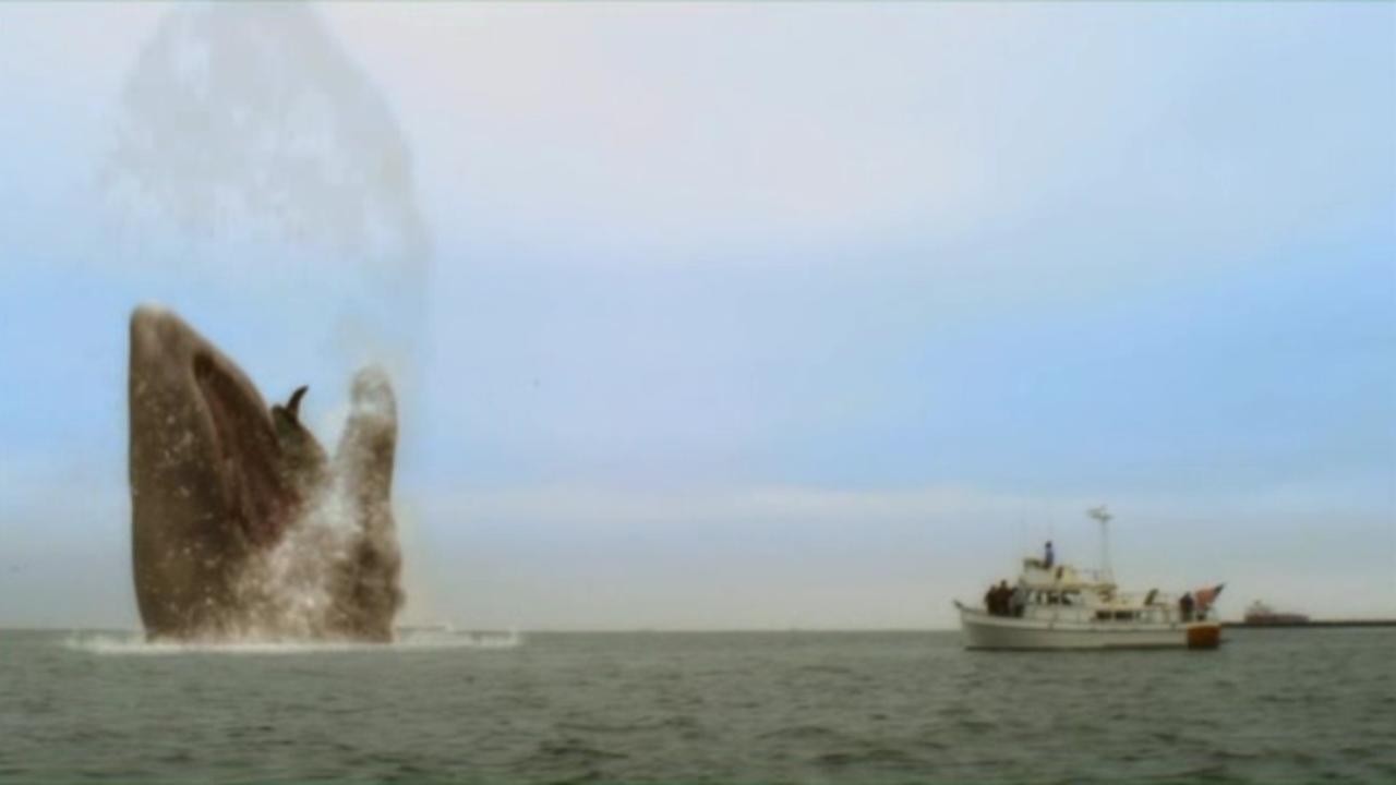 2010: Moby Dick
