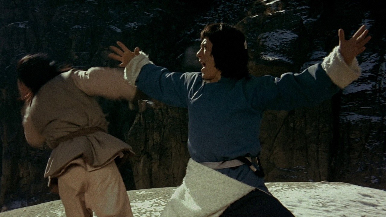 Snake & Crane Arts of Shaolin (1978) | MUBI