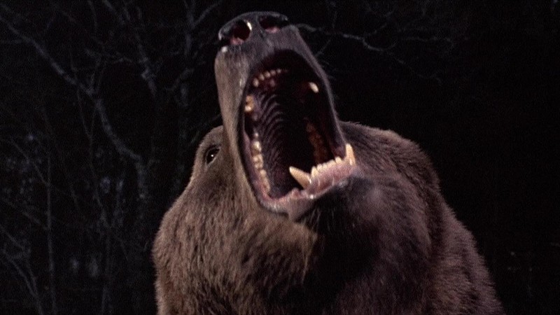 Grizzly