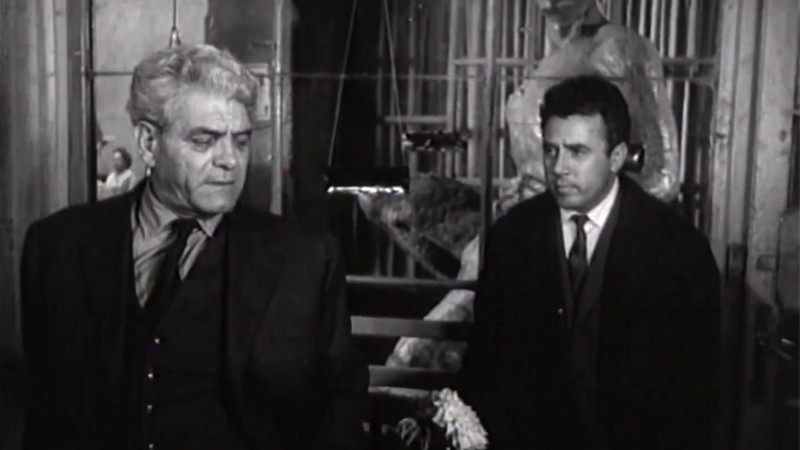 The Inspector and the Night