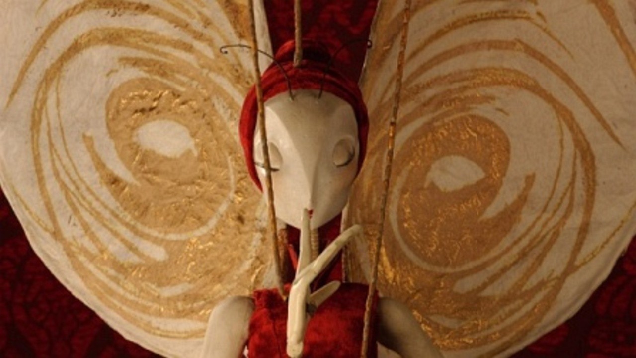 The Butterfly Woman