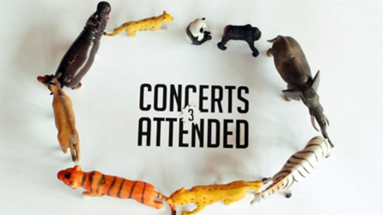 Annual Report 2007 Mubi