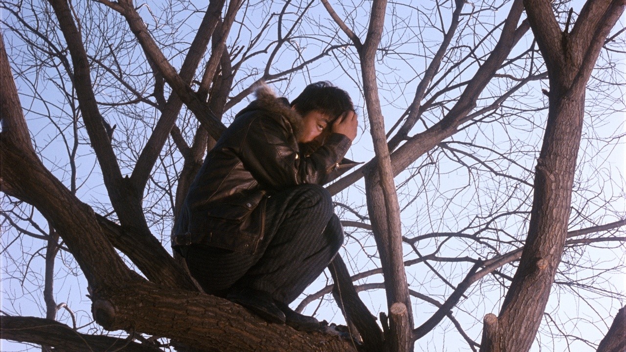 Mr. Tree