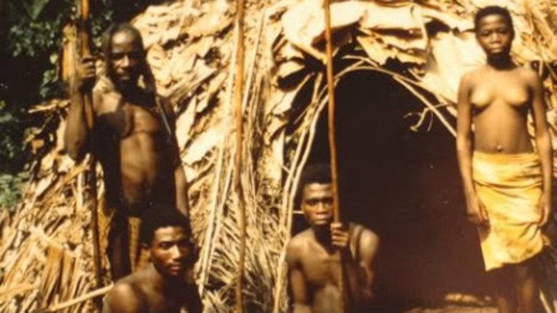 Les pygmées Bakas