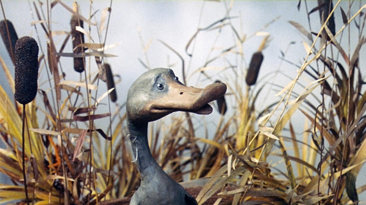 The Ugly Duckling