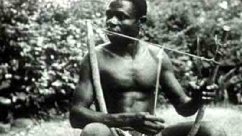 The Ngbaka Musical Bow