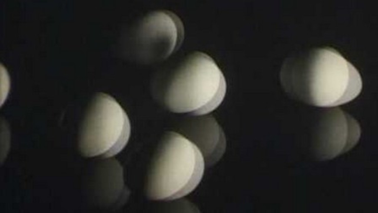Trademark Eggs