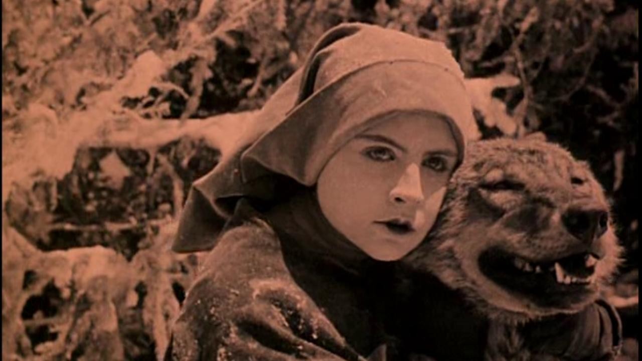 Image du film Le miracle des loups