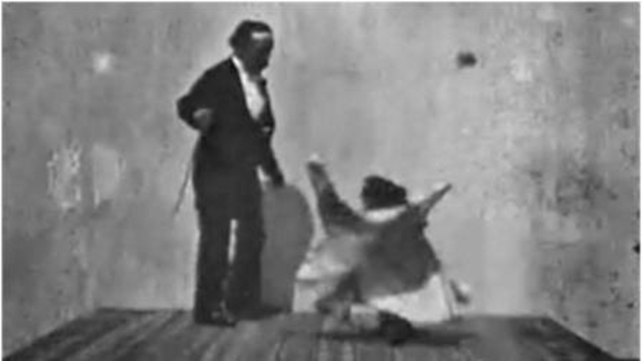 Performing Animals; or, Skipping Dogs