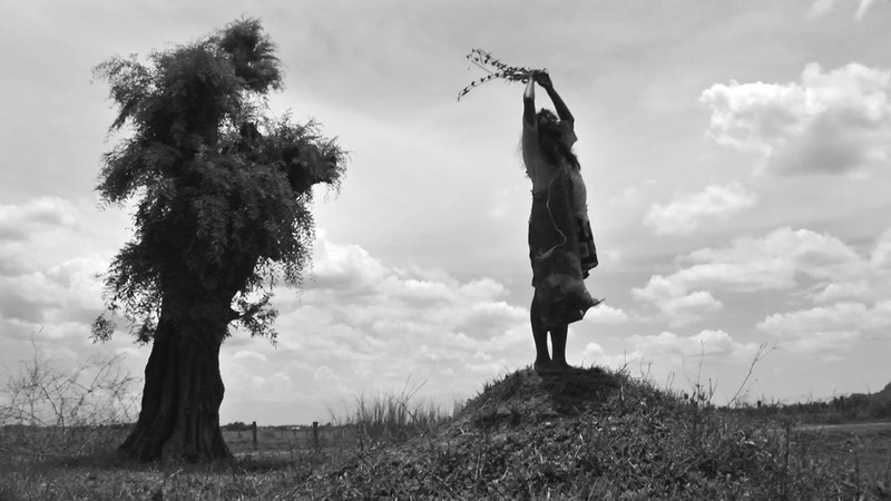 Century of Birthing - Part One