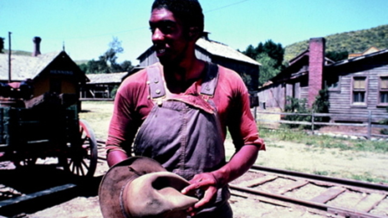 Roots: The Next Generations