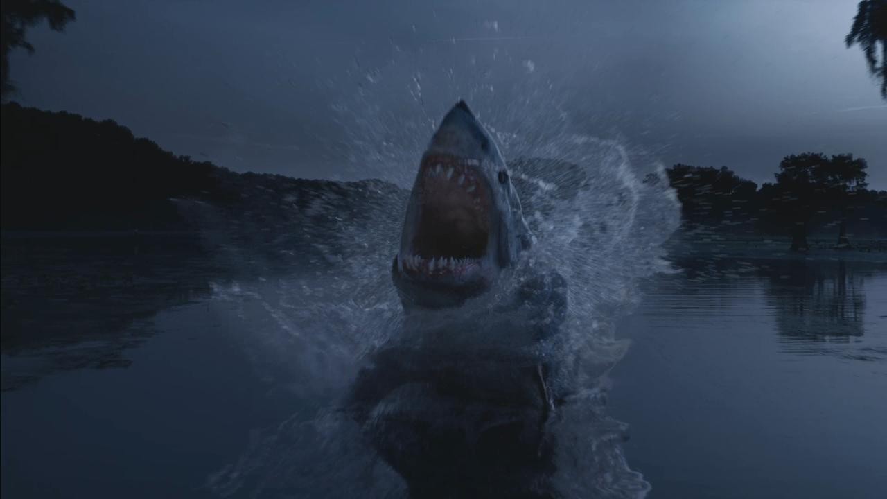Image du film Shark 3D