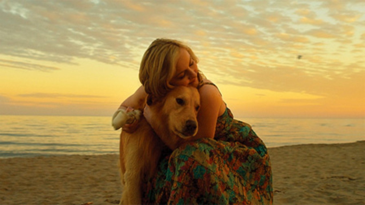 Image du film Good Boy