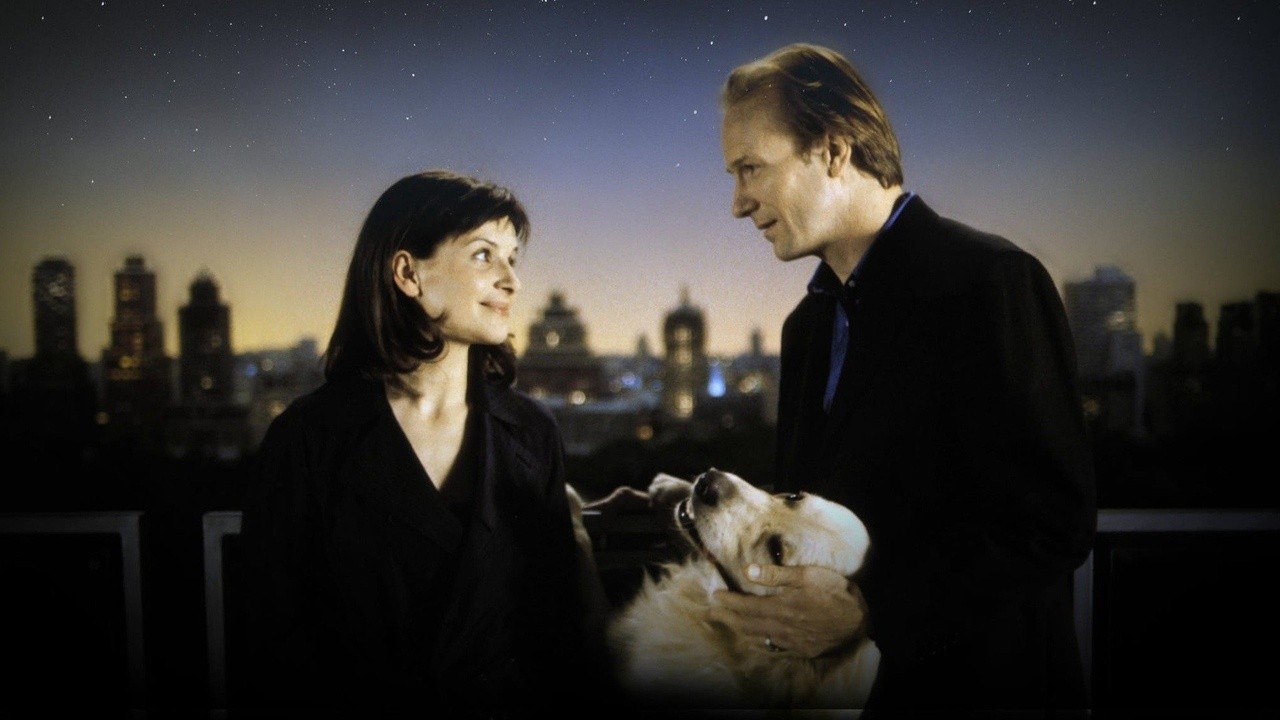 Image du film Un divan à New York