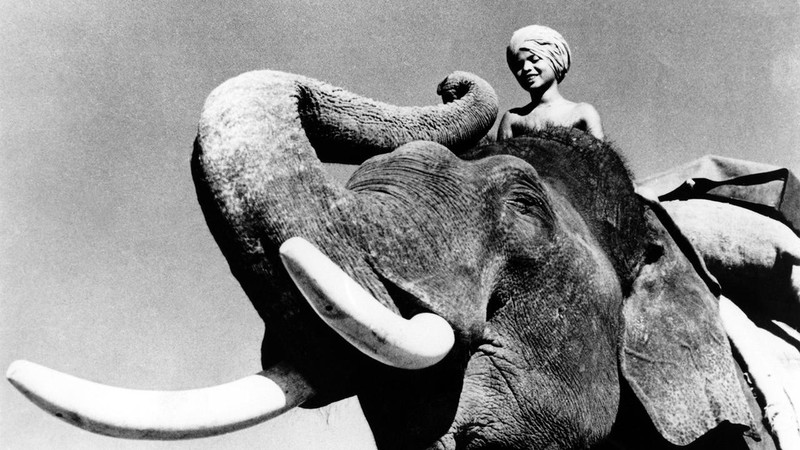 Sabu-Toomai, el de los elefantes