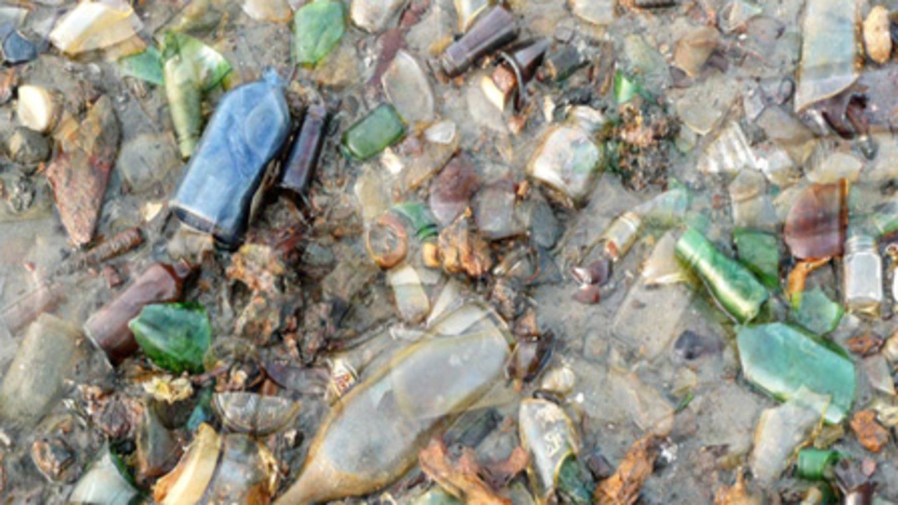 Image du film Barren