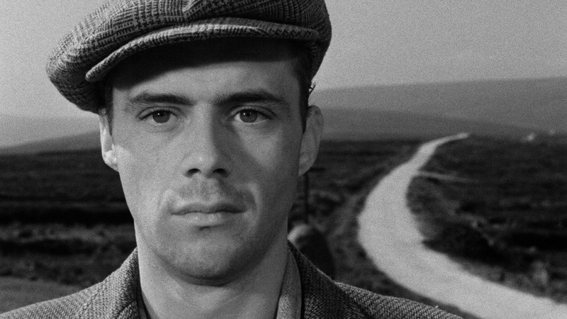 The Gentle Gunman