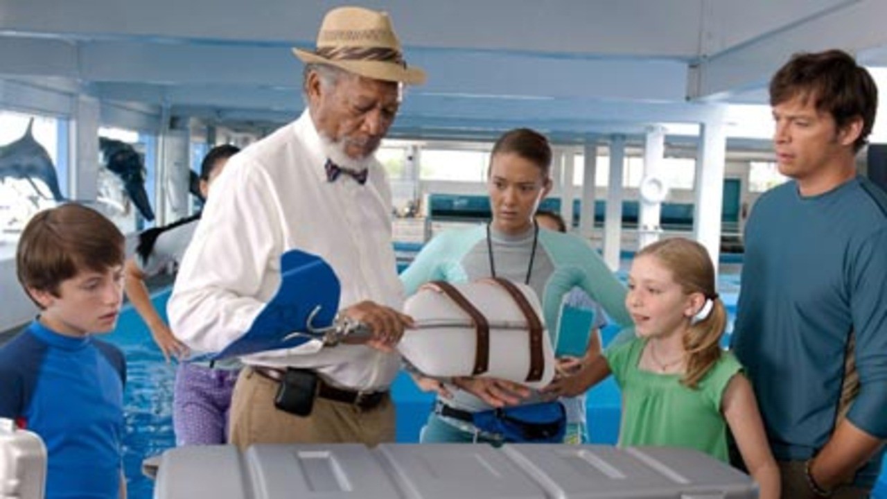 Dolphin Tale