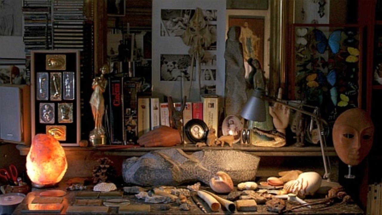 Journey Around My Room