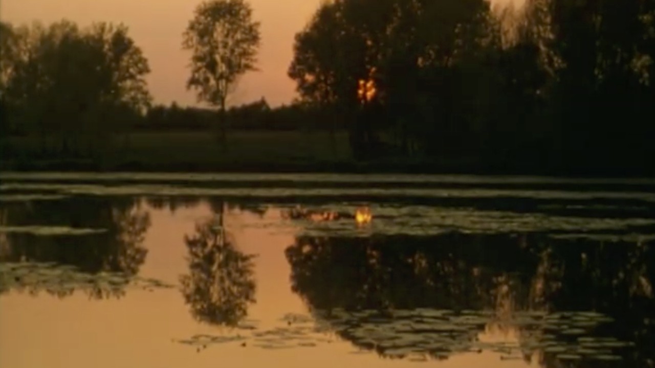 Image du film Il pianeta azzurro