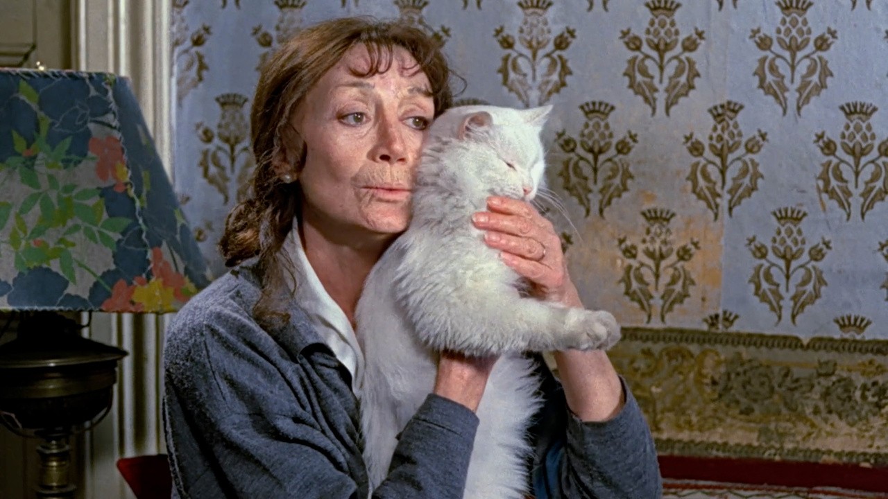 Image du film Madame