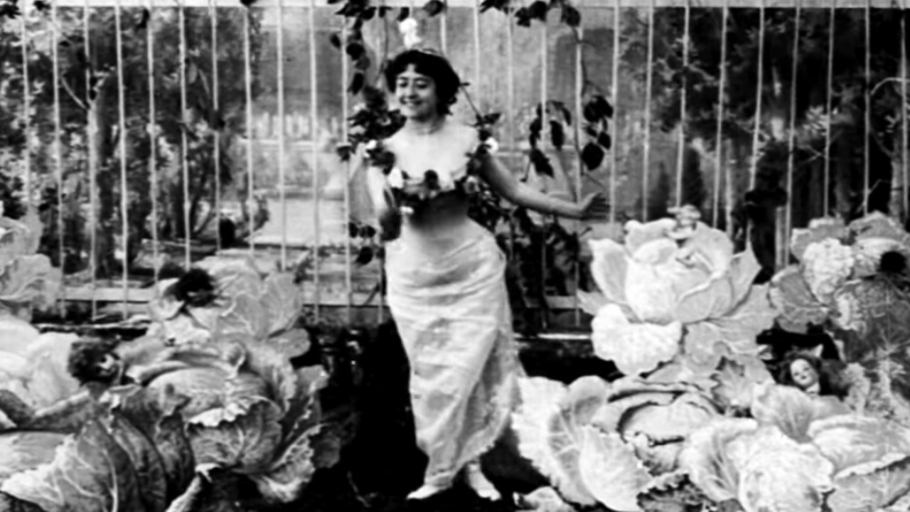 Image du film La Fee aux Choux
