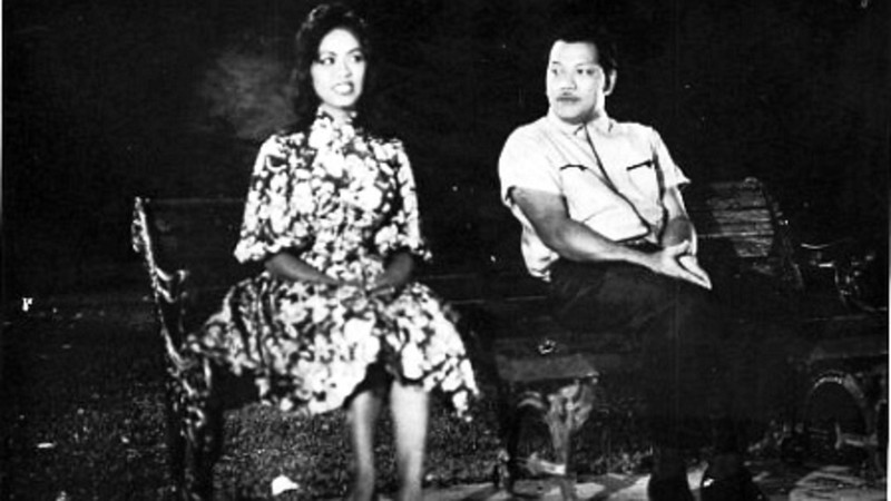 The Nitwit Movie Stars
