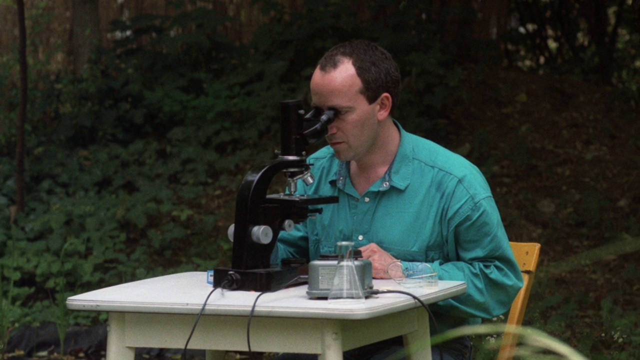 The Microscope