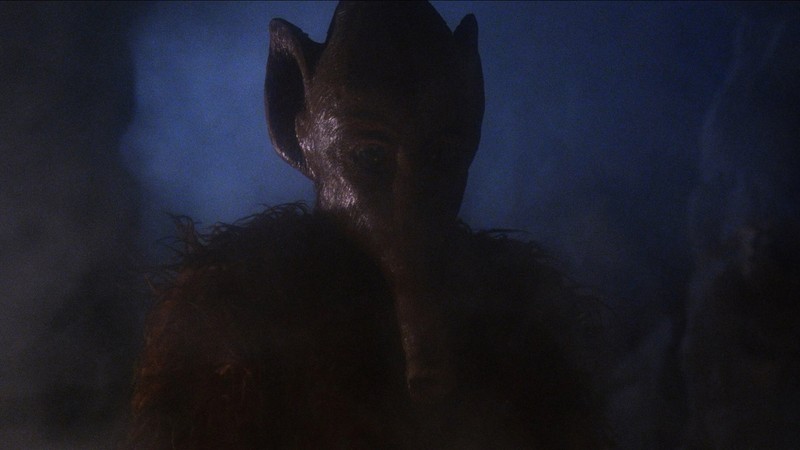 Extra Terrestrial Visitors
