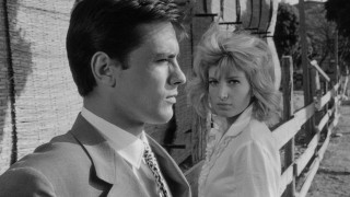 L'Eclisse