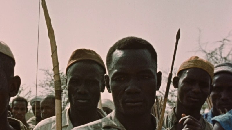 The Lion Hunters