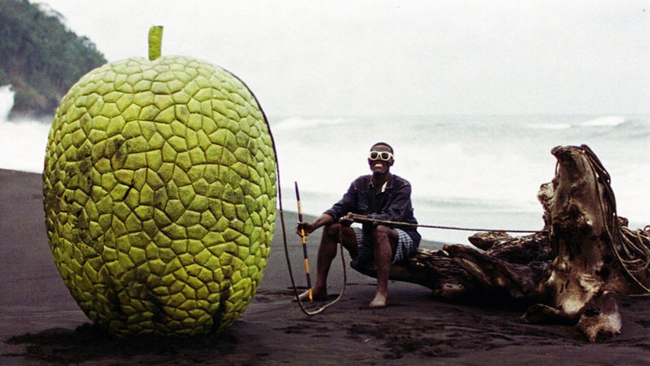 Little Fruit