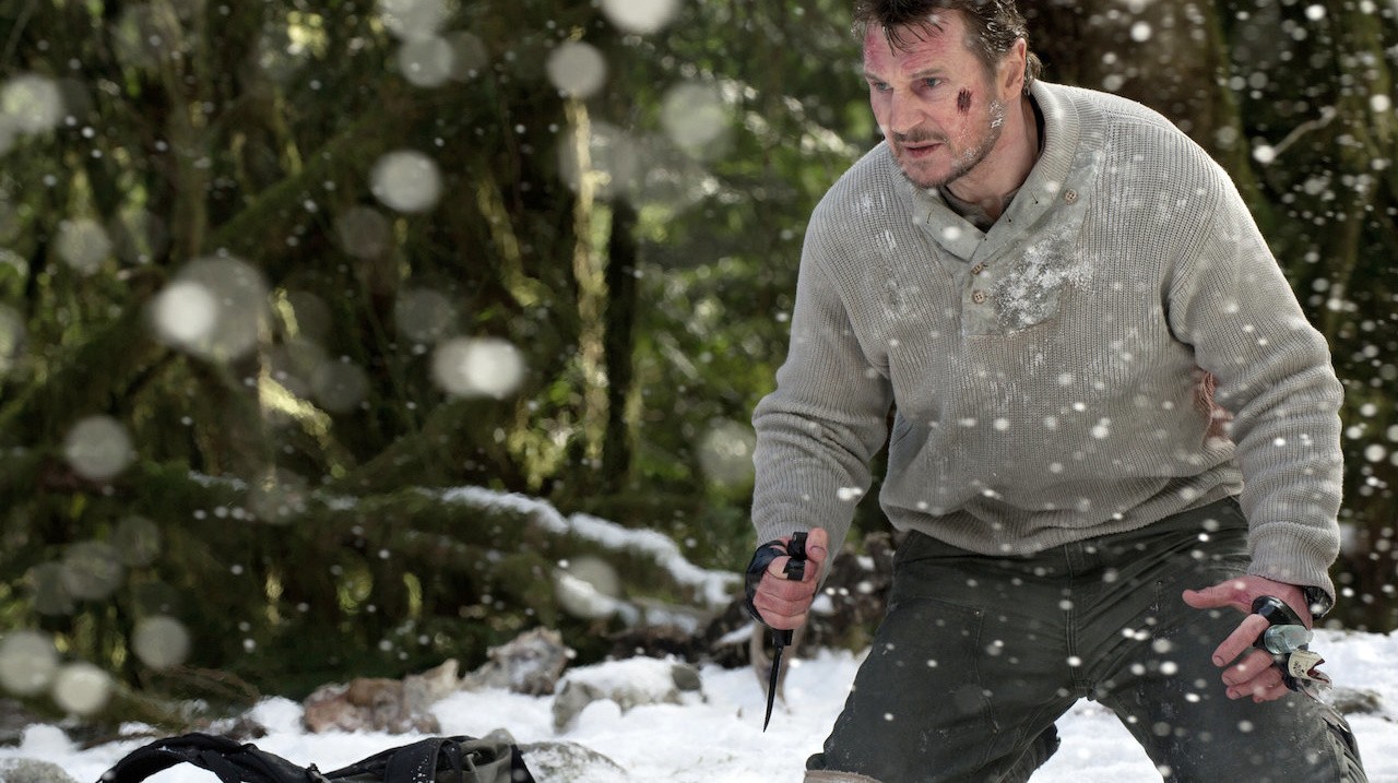 Image du film Le Territoire des loups
