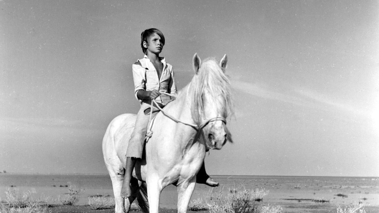 Image du film Crin blanc: Le cheval sauvage