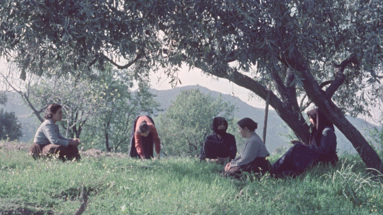 A Day in Barbagia