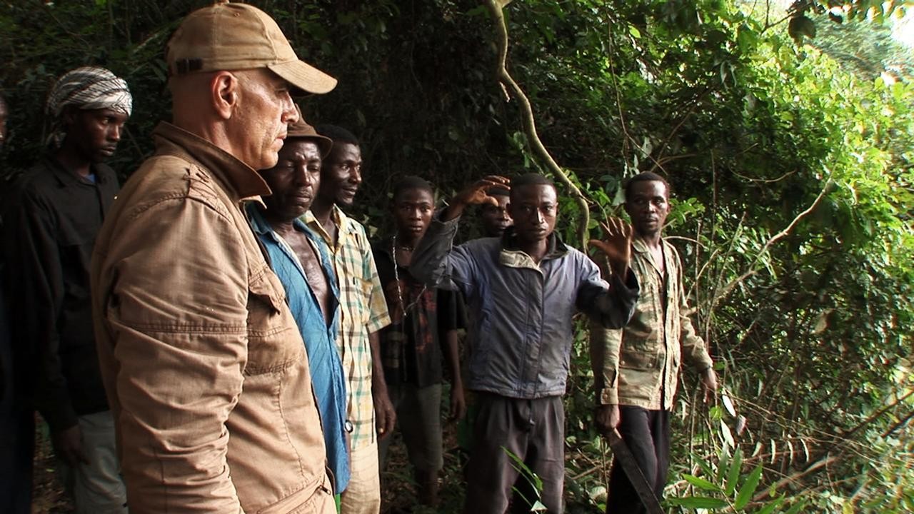 Image du film L'Hypothèse du Mokélé M'Bembé