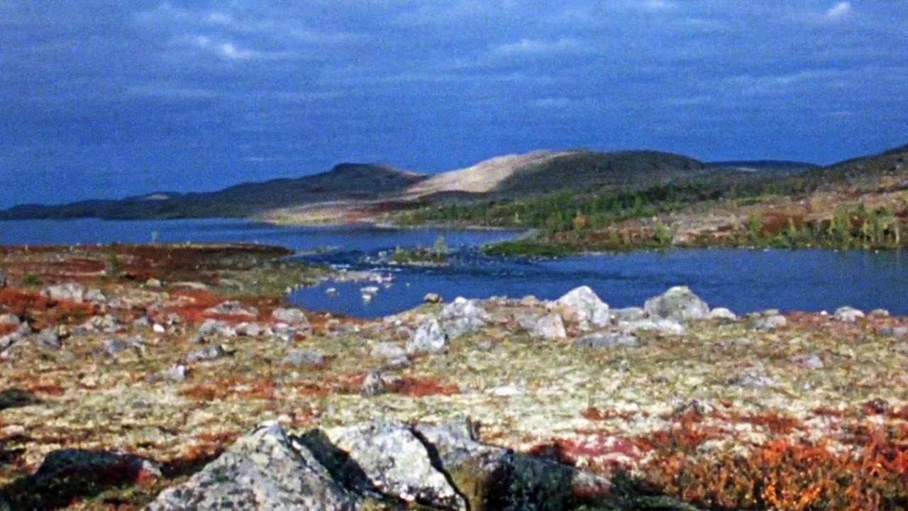 Land Without Trees, or The Mouchouânipi