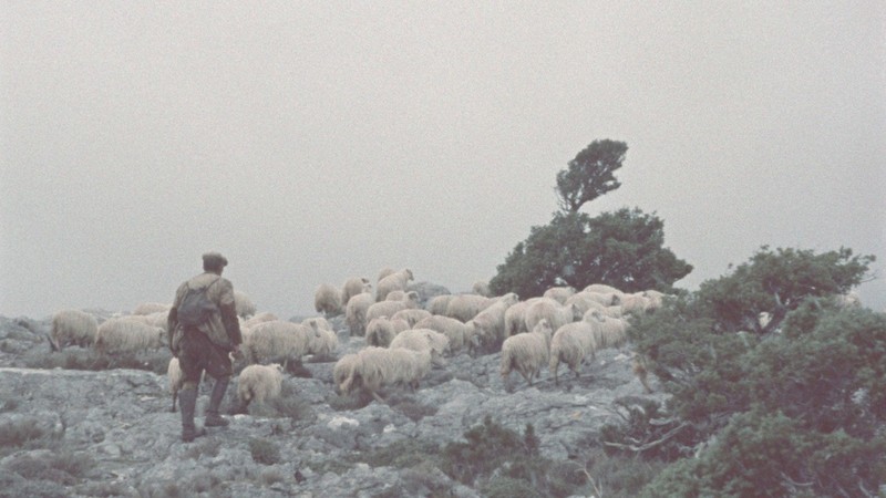 Shepherds of Orgosolo