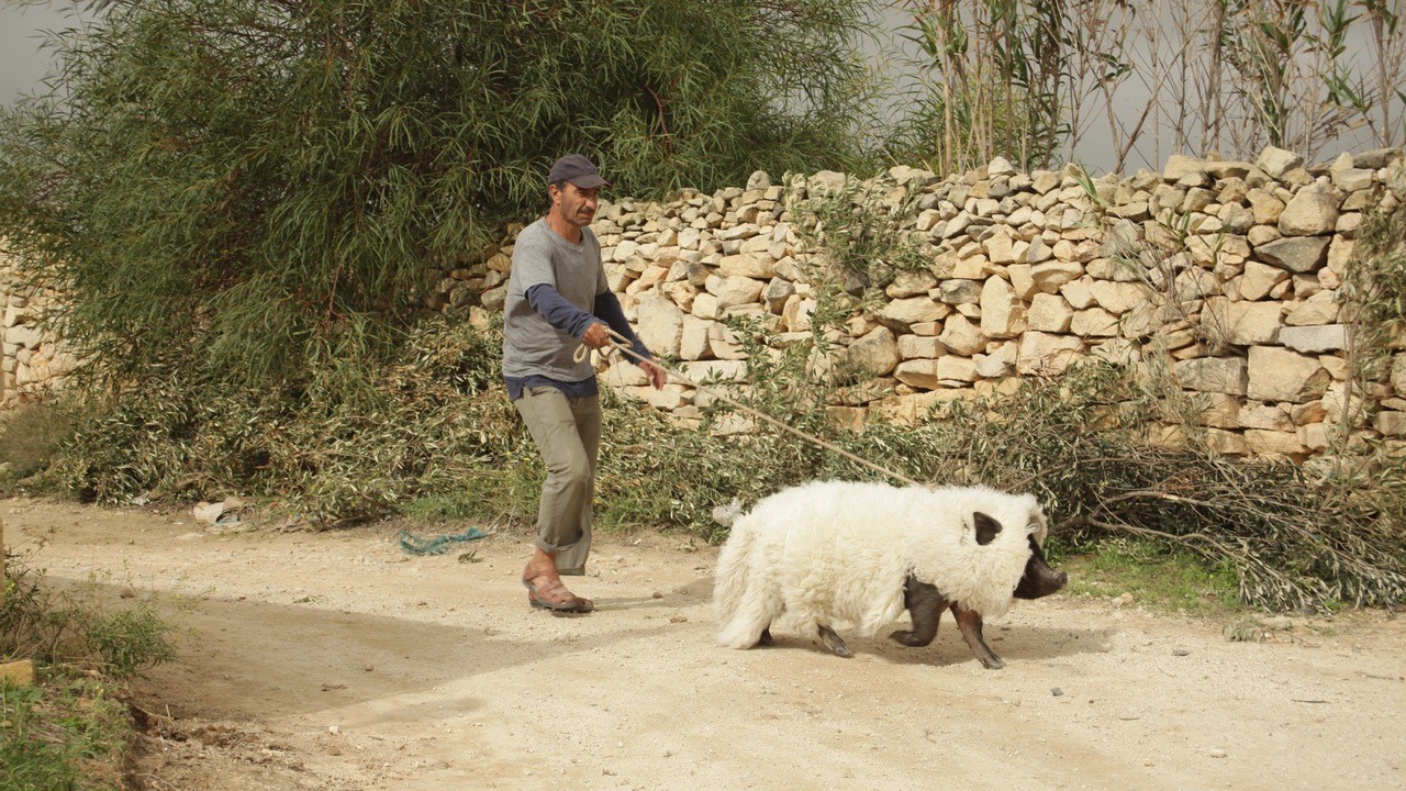 Image du film Le cochon de Gaza