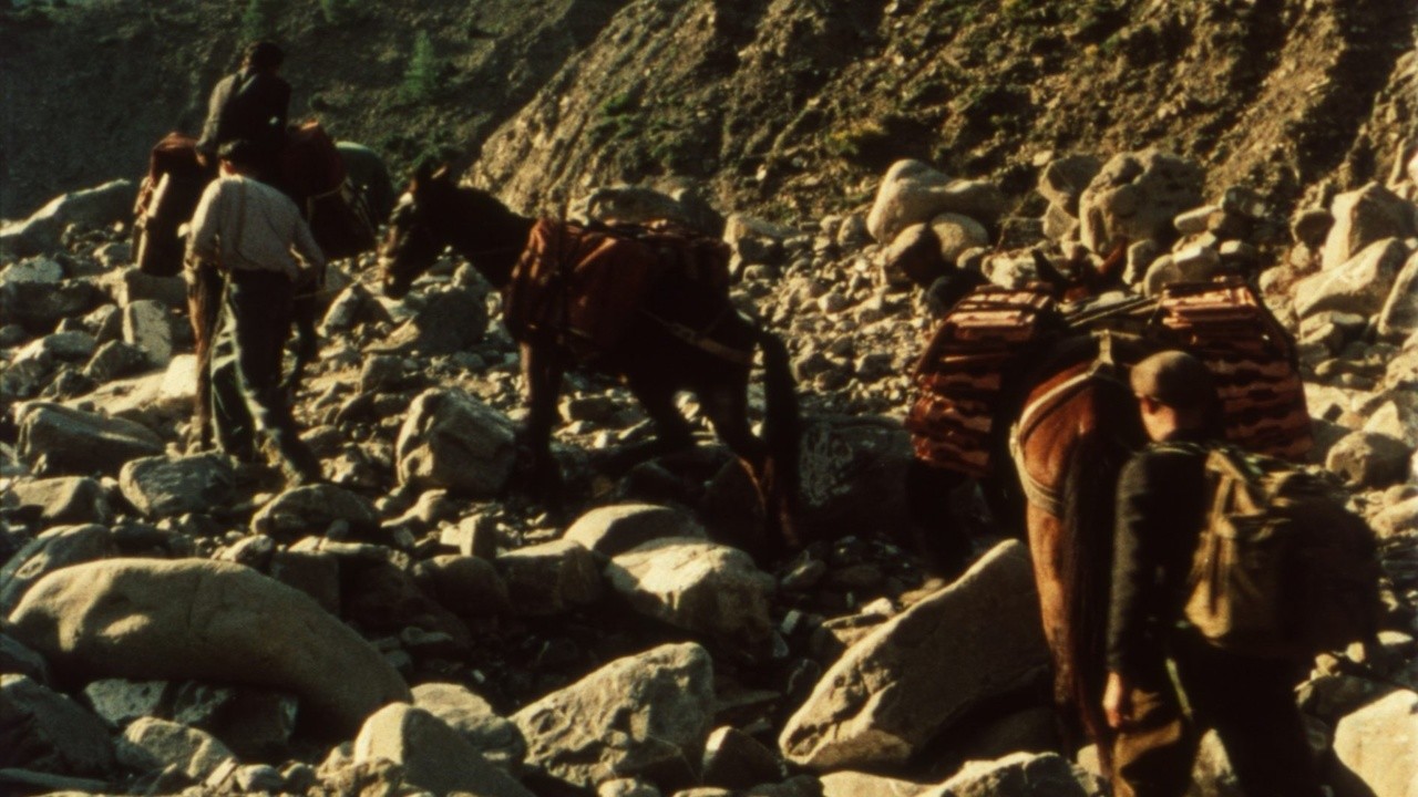 Image du film I Dimenticari
