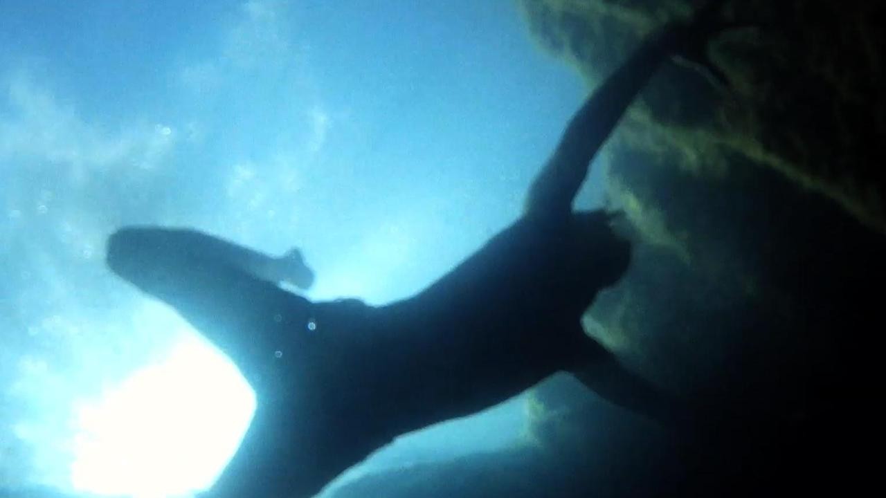 Merman